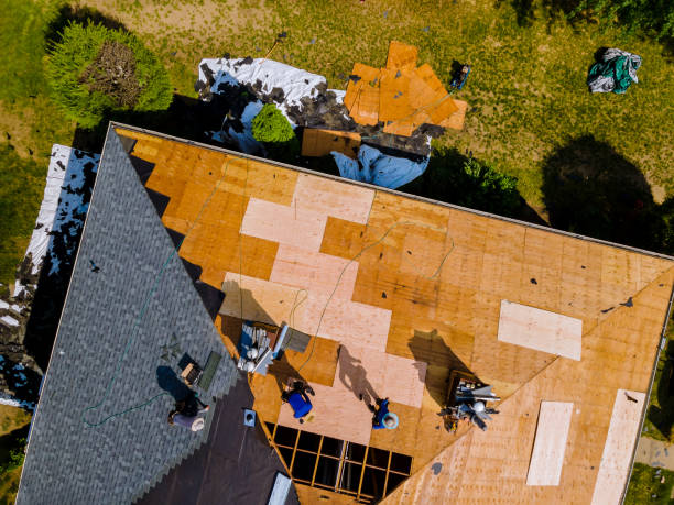 Best Storm Damage Roof Repair  in Indianola, MS